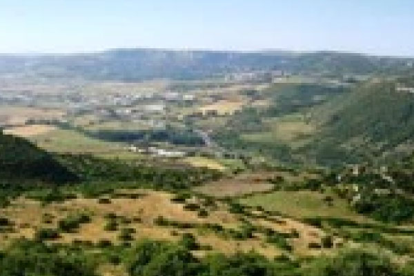 Badde Olia