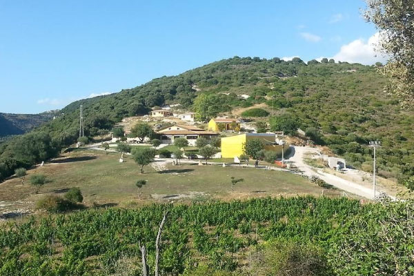 Monte Fenosu